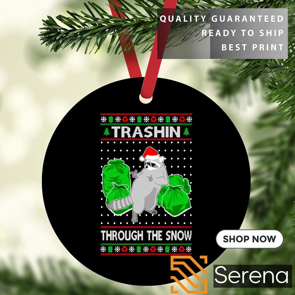 Trashin Through The Snow Raccoon Santa Claus Trash Panda T-Shirt Trashin Through The Snow Raccoon Santa Claus Trash Panda T-Shirt